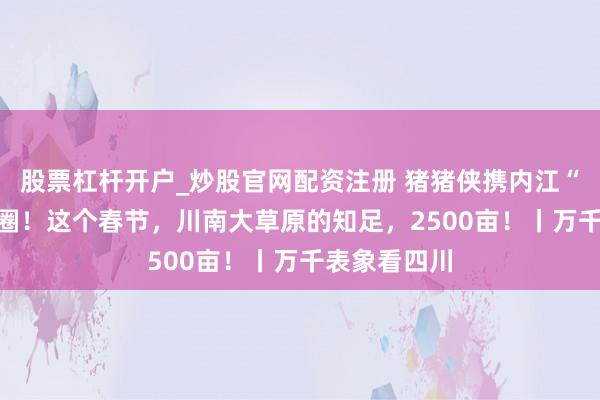 股票杠杆开户_炒股官网配资注册 猪猪侠携内江“曲直IP”出圈！这个春节，川南大草原的知足，2500亩！丨万千表象看四川
